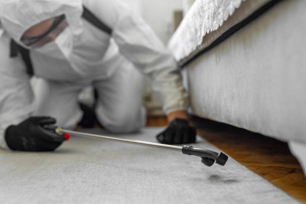 Professional Ant Control technician working in Pike County County, MO